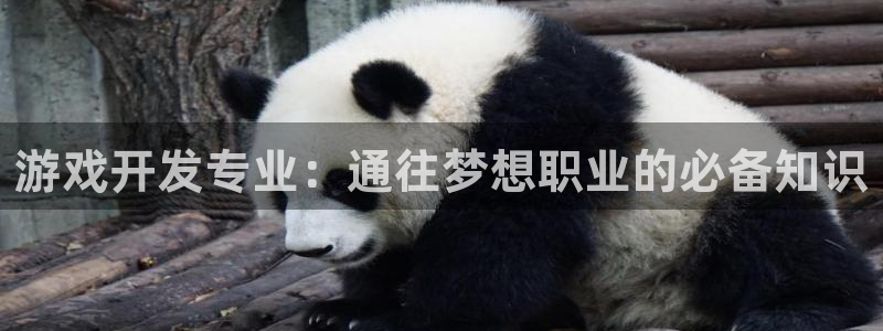 沐鸣娱乐2测速登陆