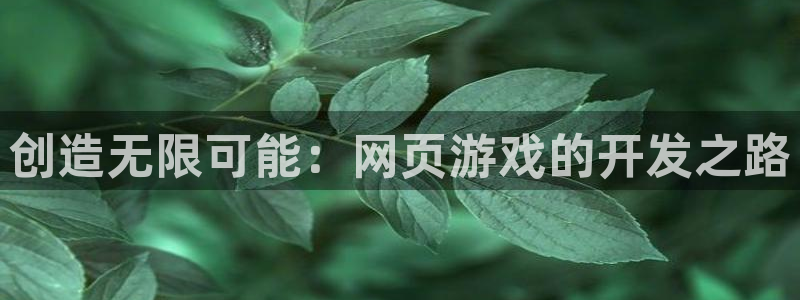 沐鸣2平台注册：创造无限可能：网页游戏的开发之路