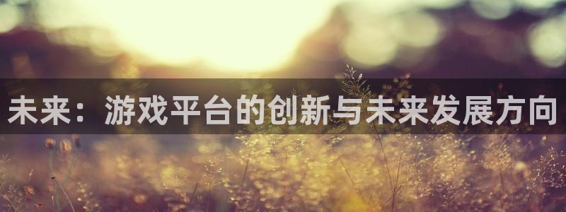沐鸣2开户：未来：游戏平台的创新与未来发展方向