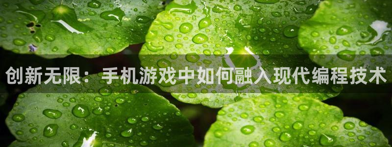 沐鸣娱乐2多彩平台：创新无限：手机游戏中如何融入现代编程技术