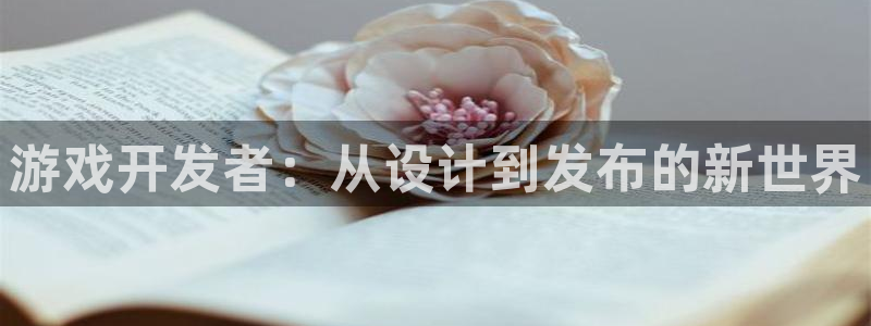 沐鸣2代理求27337：游戏开发者：从设计到发布的新世界