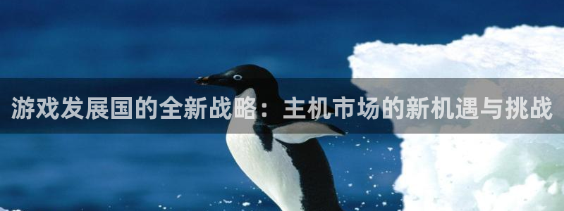 沐鸣2平台官方注册登录：游戏发展国的全新战略：主机市场的新机遇与挑战