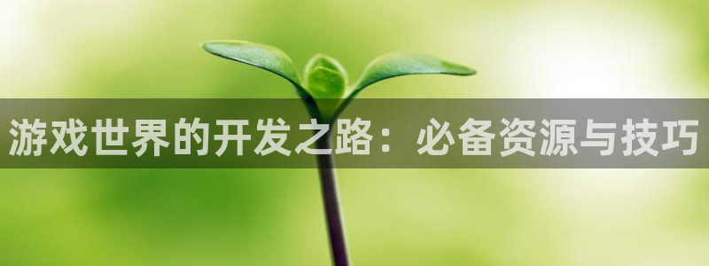 沐鸣2官方登录：游戏世界的开发之路：必备资源与技巧