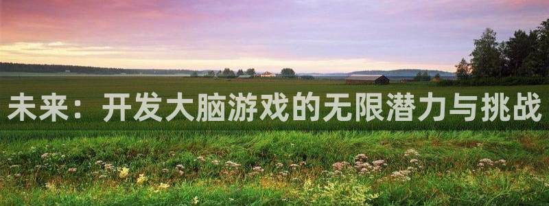 沐鸣2官网注册地址：未来：开发大脑游戏的无限潜力与挑战