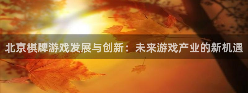 沐鸣代理22927：北京棋牌游戏发展与创新：未来游戏产业的新机遇