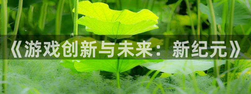 沐鸣娱乐2登录平台官网网址：《游戏创新与未来：新纪元》