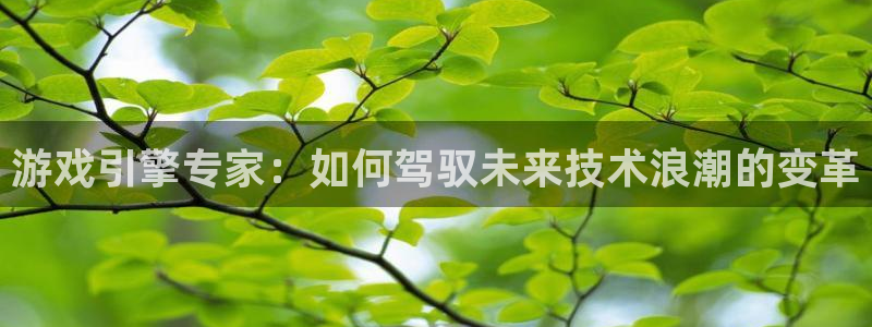 沐鸣2挂机注册：游戏引擎专家：如何驾驭未来技术浪潮的变革