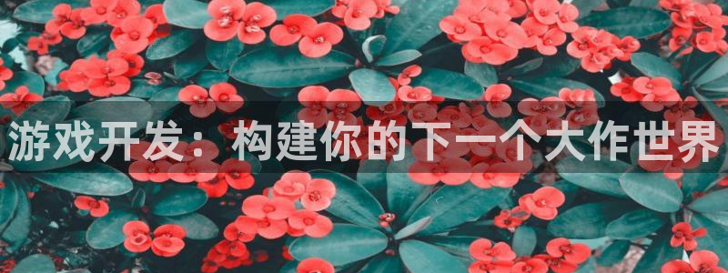 沐鸣2平台招商：游戏开发：构建你的下一个大作世界