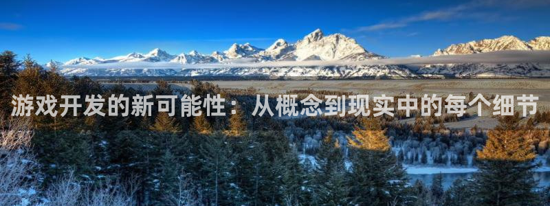 沐鸣2注册登录：游戏开发的新可能性：从概念到现实中的每个细节