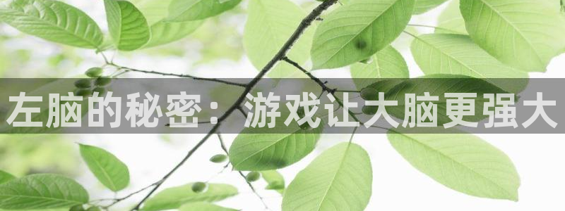 沐鸣娱乐2黑客户吗：左脑的秘密：游戏让大脑更强大
