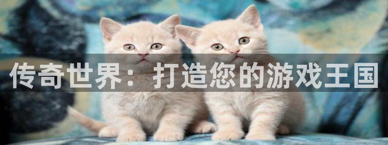 沐鸣娱乐2官方：传奇世界：打造您的游戏王国