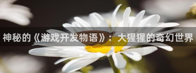 沐鸣2测速登录：神秘的《游戏开发物语》：大猩猩的奇幻世界