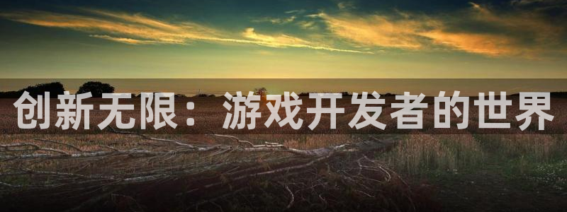 沐鸣2平台代理注册：创新无限：游戏开发者的世界