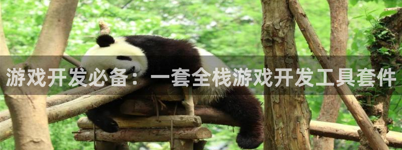 沐鸣2输钱能要回来吗：游戏开发必备：一套全栈游戏开发工具套件