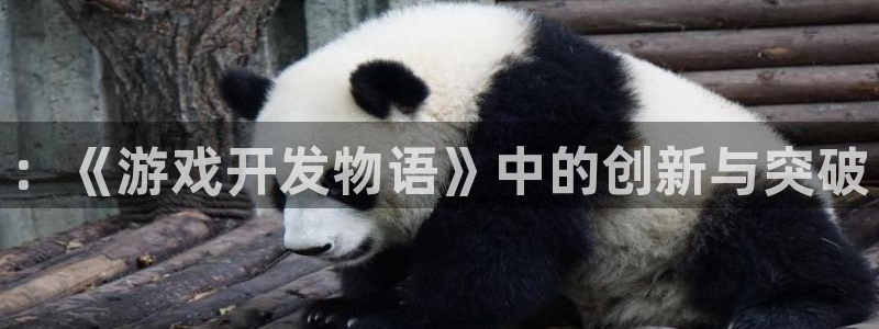 沐鸣2娱乐平台登录：：《游戏开发物语》中的创新与突破