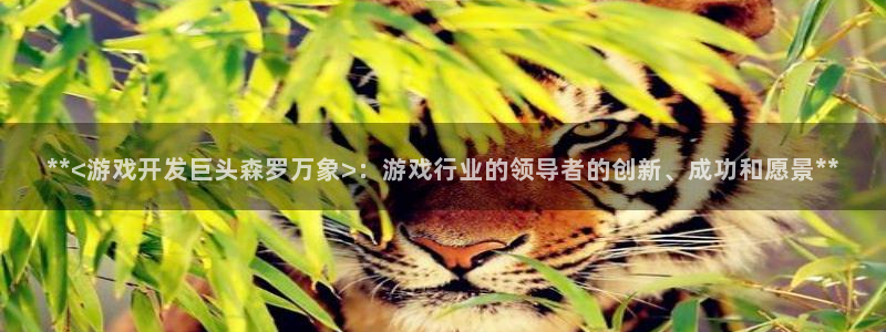 沐鸣2测速登录：**<游戏开发巨头森罗万象>：游戏行业的领导者的创新、成功和愿景**