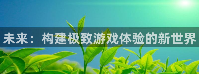 沐鸣2平台测速：未来：构建极致游戏体验的新世界