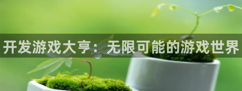 沐鸣娱乐2输钱了：开发游戏大亨：无限可能的游戏世界