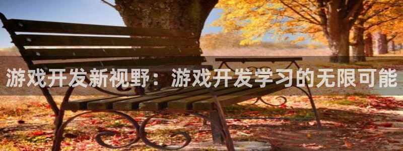 沐鸣2平台主管：游戏开发新视野：游戏开发学习的无限可能