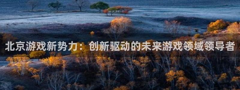 沐鸣2挂机注册：北京游戏新势力：创新驱动的未来游戏领域领导者