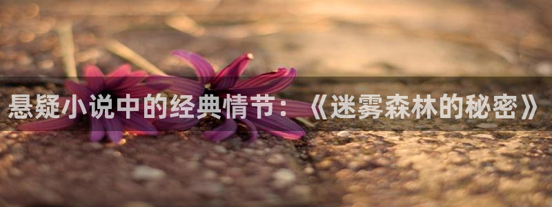 小说话本小说